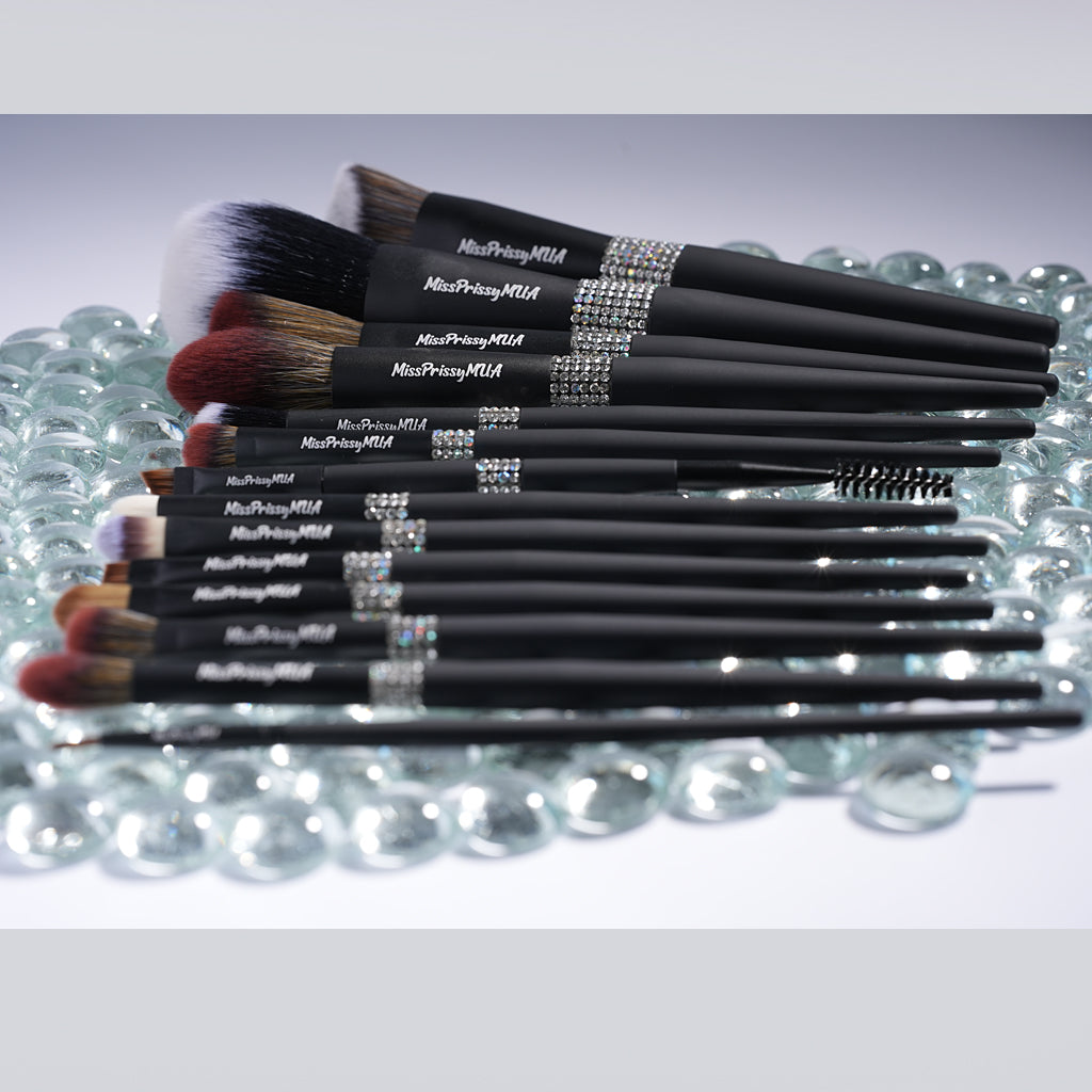 BLACK DIAMOND 14 pc Brush Set